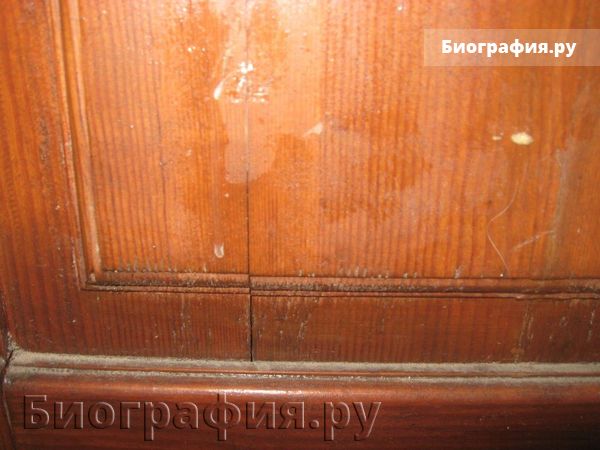 Ремонт деревянных дверей своими руками | Idoor Pro | Дзен